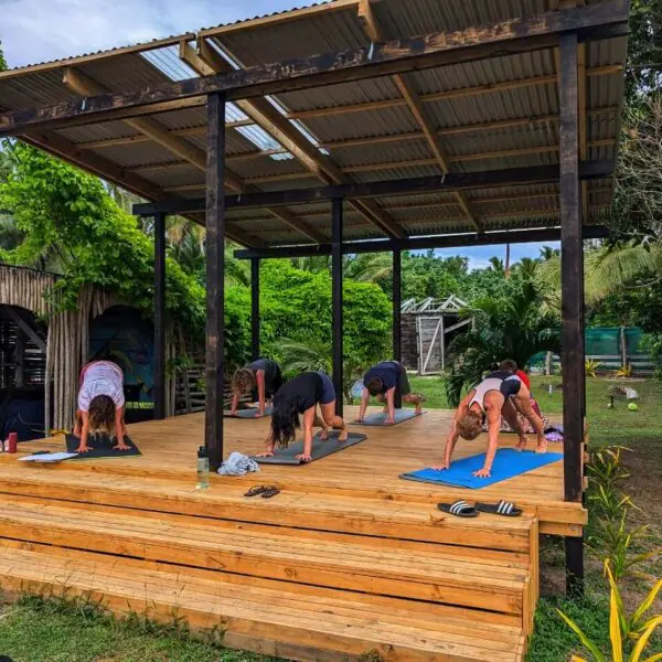 Beachfront Yoga and Wellness Weeks on Uoleva Island, Tonga