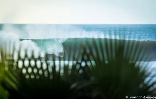 Surf and Yoga Camp in Tenerife with Daily Lessons and Sea-View House