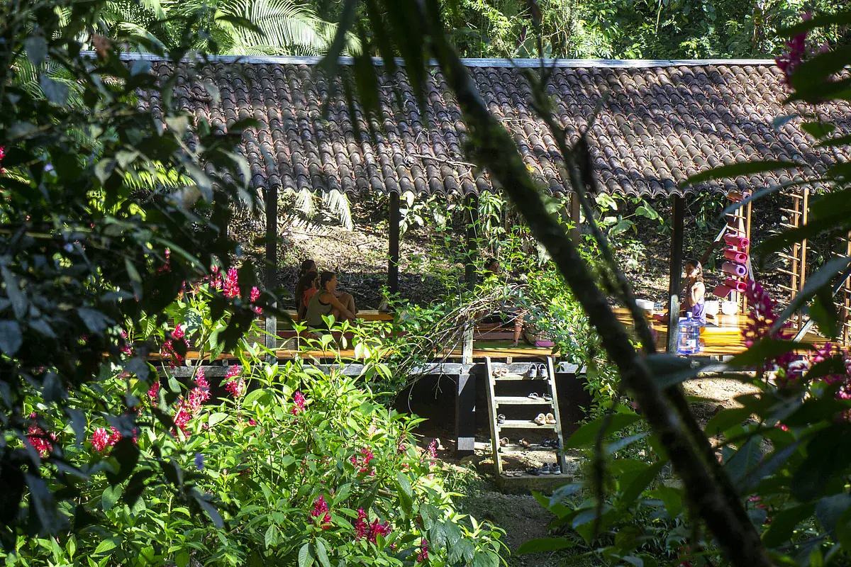 FORTIS: 8-Day Men's Strength, Brotherhood & Purpose Retreat in the Ecuadorian Amazon