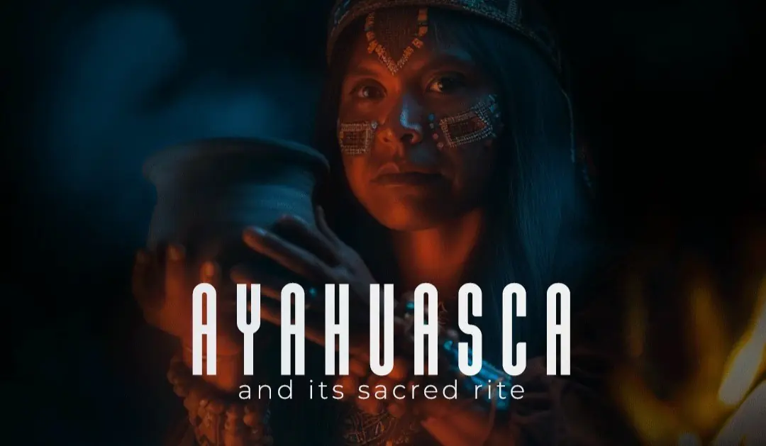 14-Day Ayahuasca Ceremony Retreat with Yoga and Meditation in Bahia, Brazil