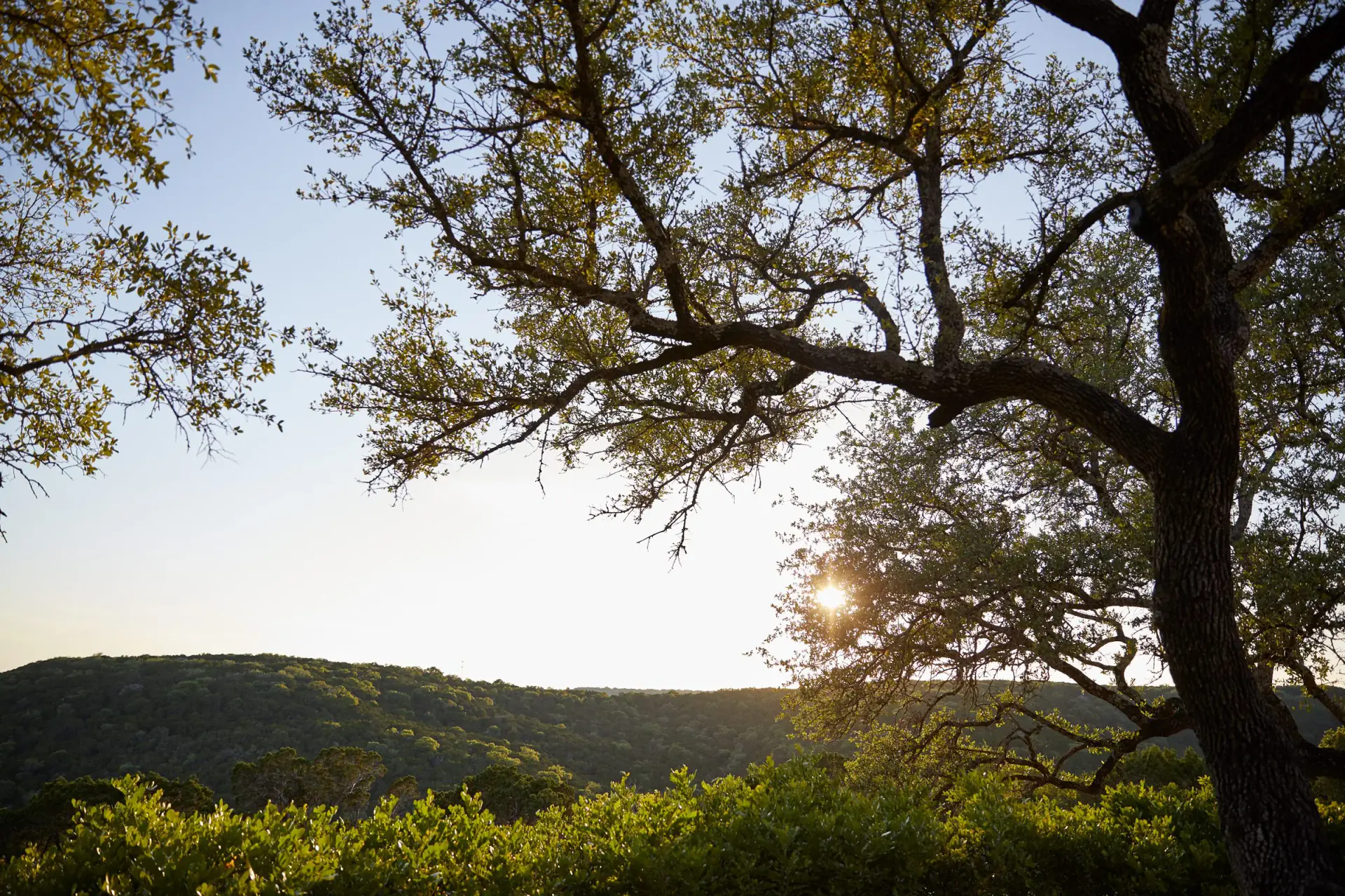 Wellness Retreat at Miraval Austin: All-Inclusive Hill Country Stay