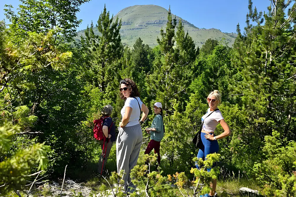 Mountain Wellness Escape in Albania: 2-Day Yoga, Qi Gong & Hiking Retreat