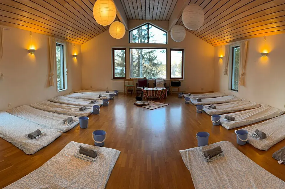 2-Day Small-Group Ayahuasca Ceremony Retreat in Oslo