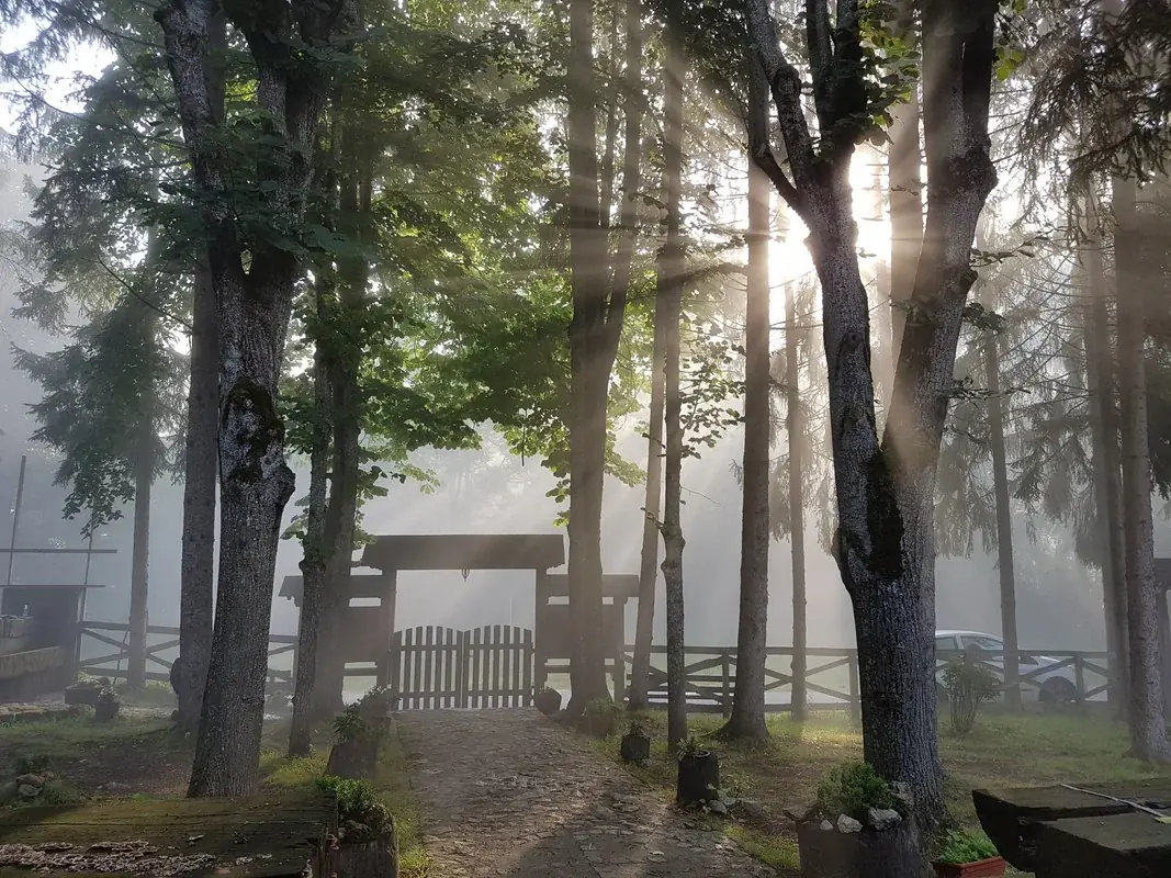 Serbia Mountain Yoga & Meditation Week at Sopotnica Waterfalls