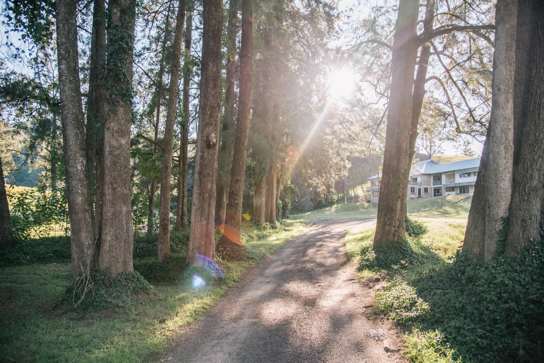 Detox and Lifestyle Reset at Misty Mountain Health Retreat, NSW
