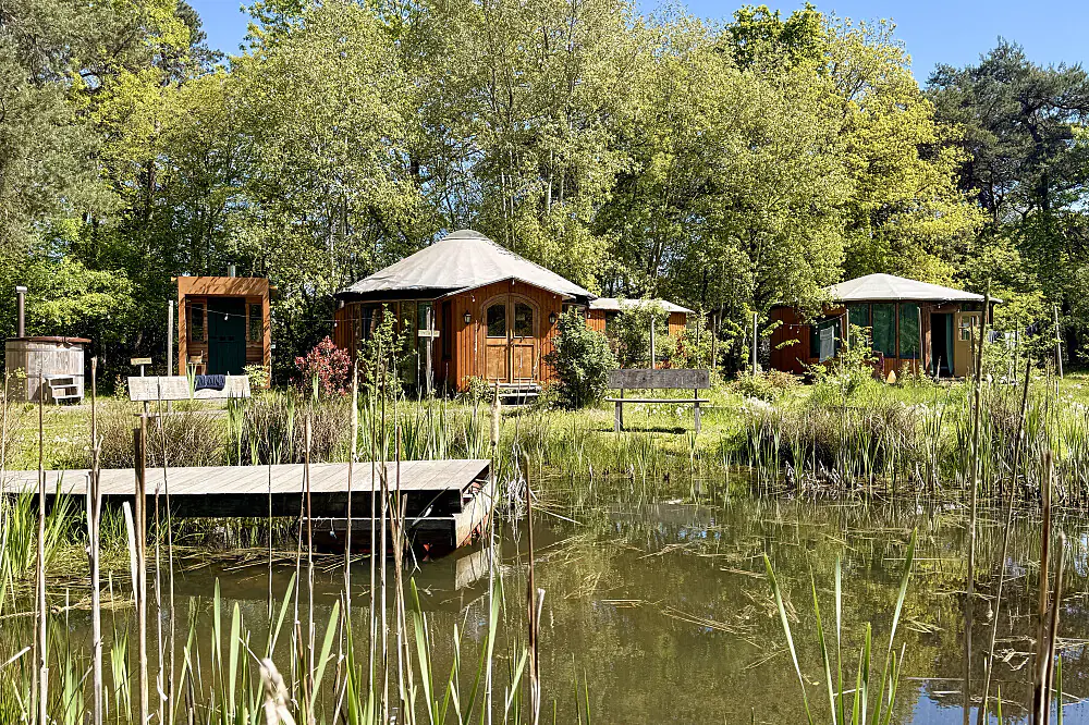Advanced Psilocybin Retreat in the Netherlands: 3-Day Deep Immersion