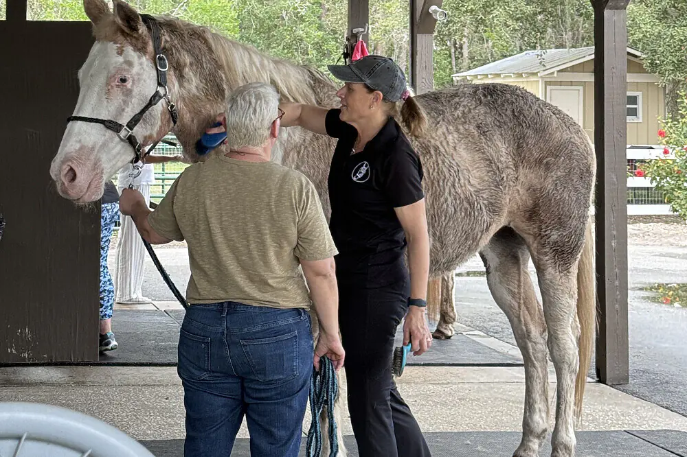 3-Day Burnout Recovery & Animal Sanctuary Wellness Retreat in New Smyrna Beach, Florida