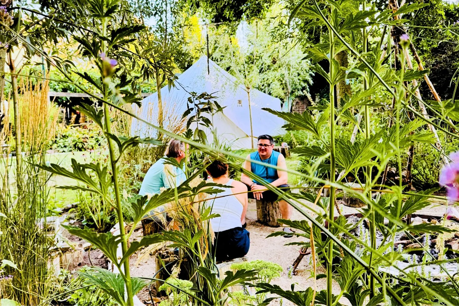 3-Day Small-Group Psilocybin Retreat with Breathwork & Integration in the Dutch Countryside