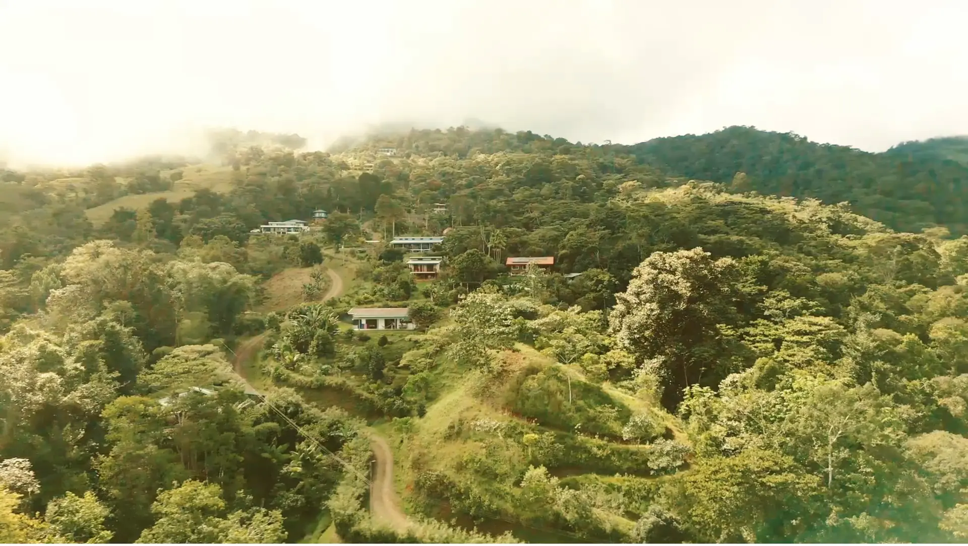 Private Psilocybin-Assisted Wellness Retreat in the Costa Rican Mountains