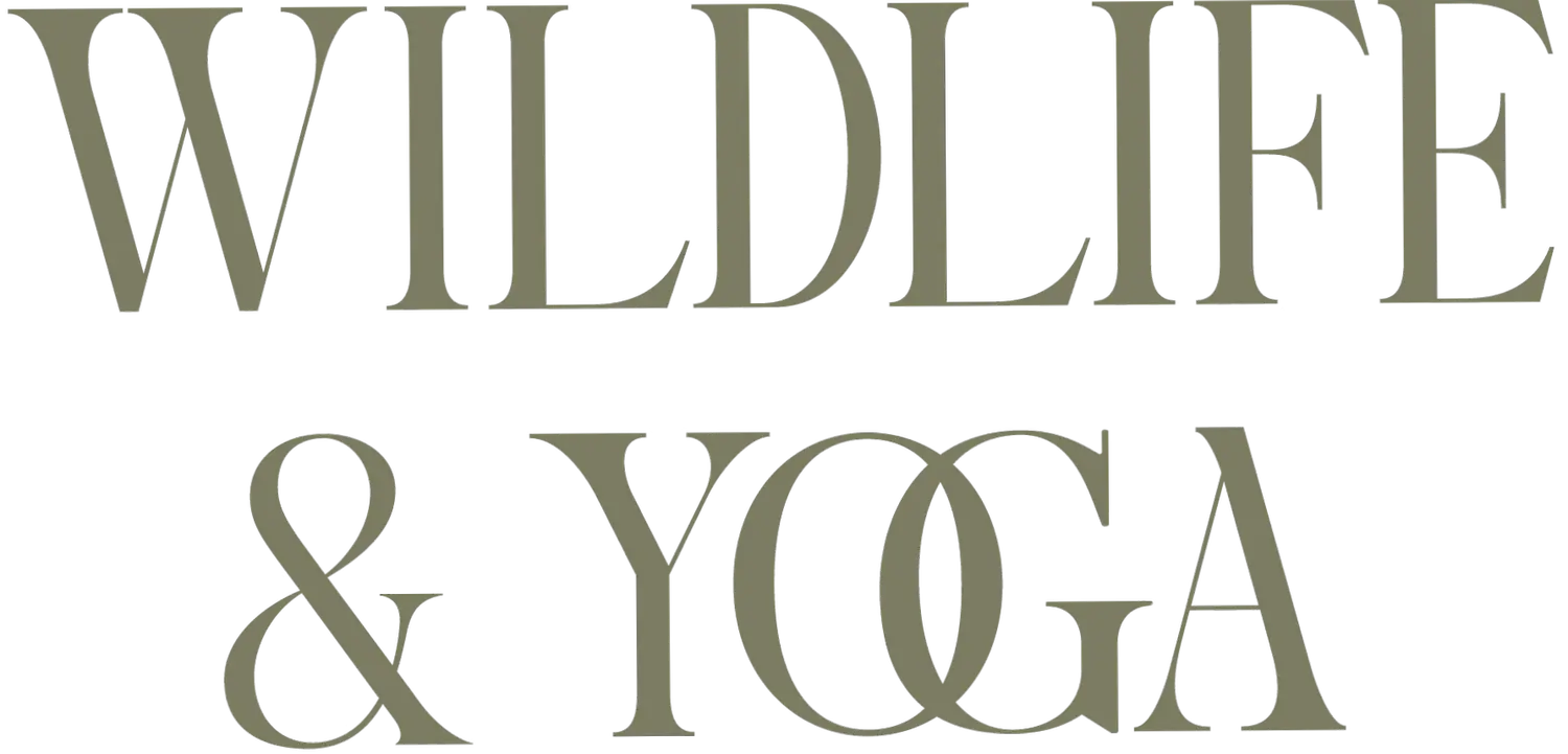 Wilderness Yoga Retreats in Africa and Scotland: Small-Group Safari & Wellness Weeks