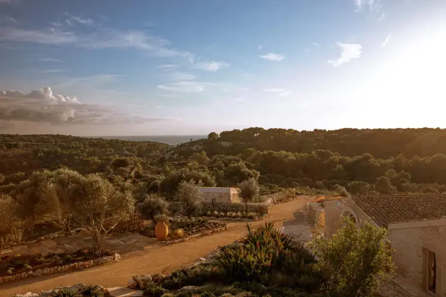 Menorca Wellness Retreat: Yoga, Sound Healing and Farm-to-Table Slow Living