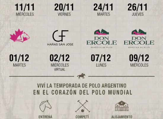 High-Intensity Polo Performance Camp in Pilar, Argentina