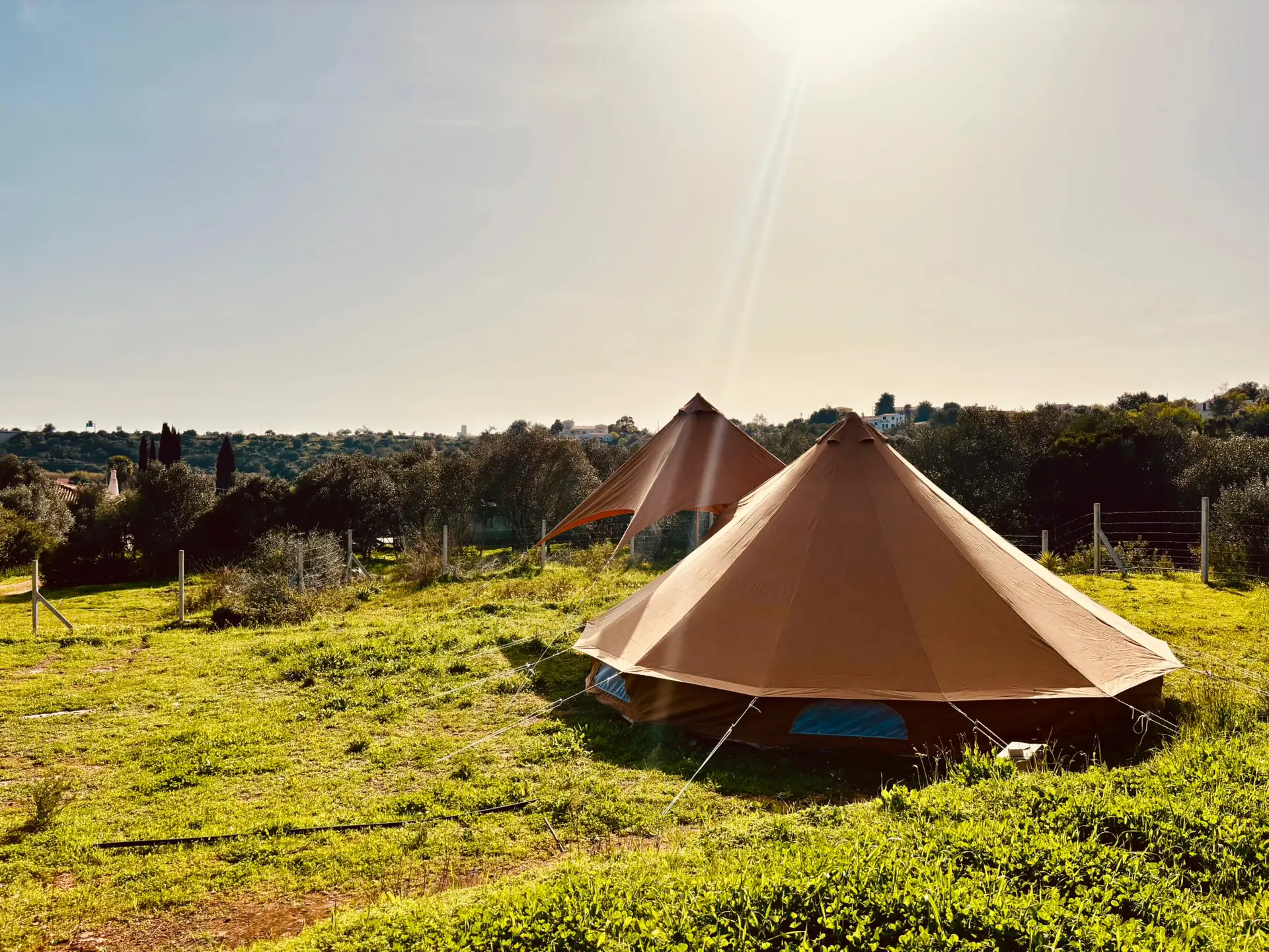 4-Day Shamanic Plant Medicine Retreat in the Algarve, Portugal