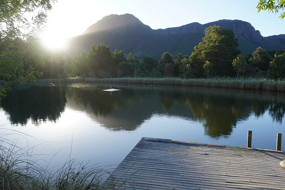 Rewilded Woman: A 4-Day Shamanic Nature Retreat in Franschhoek Valley