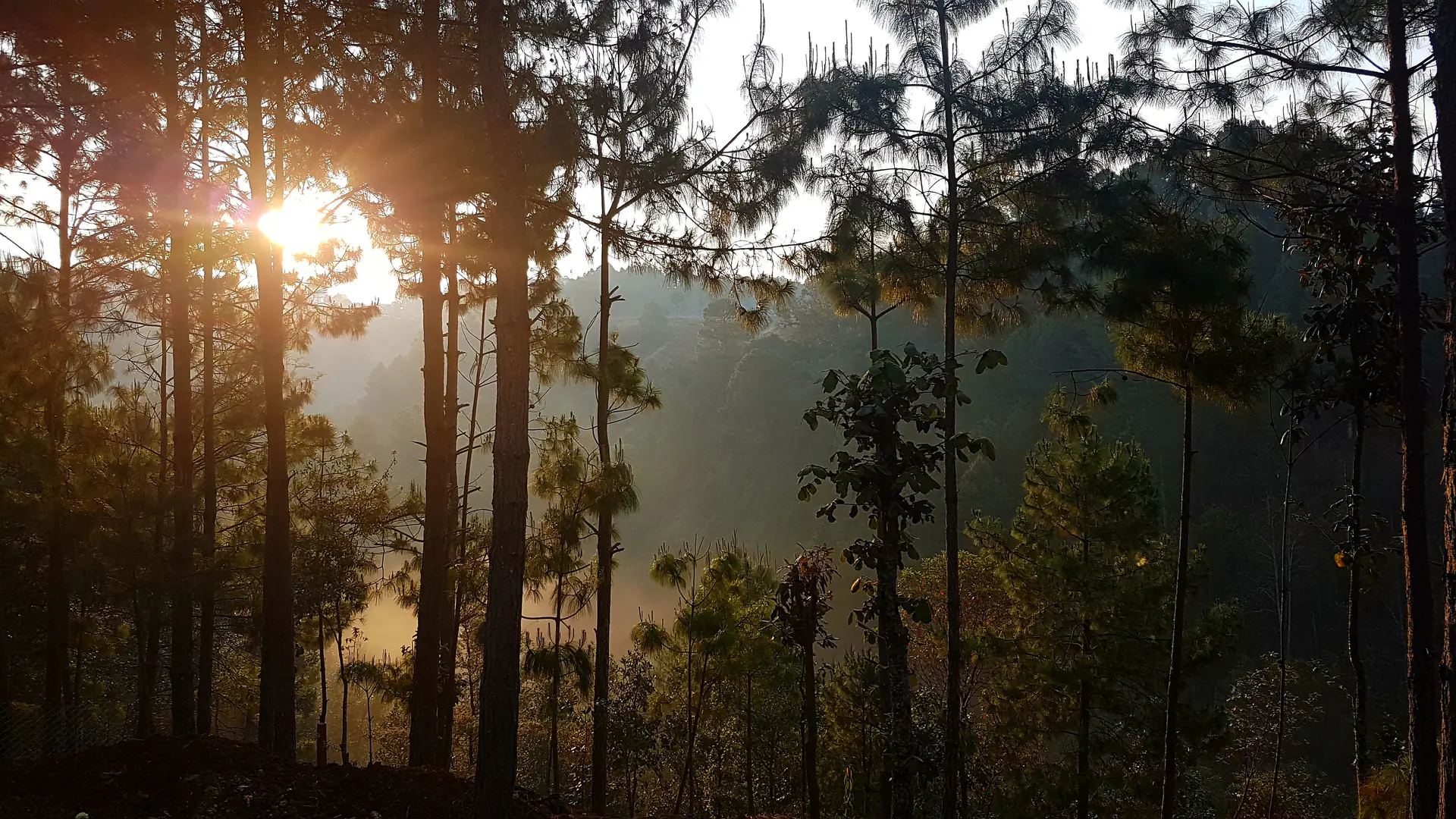 Hridaya Silent Meditation Retreat in San Cristobal de las Casas, Mexico