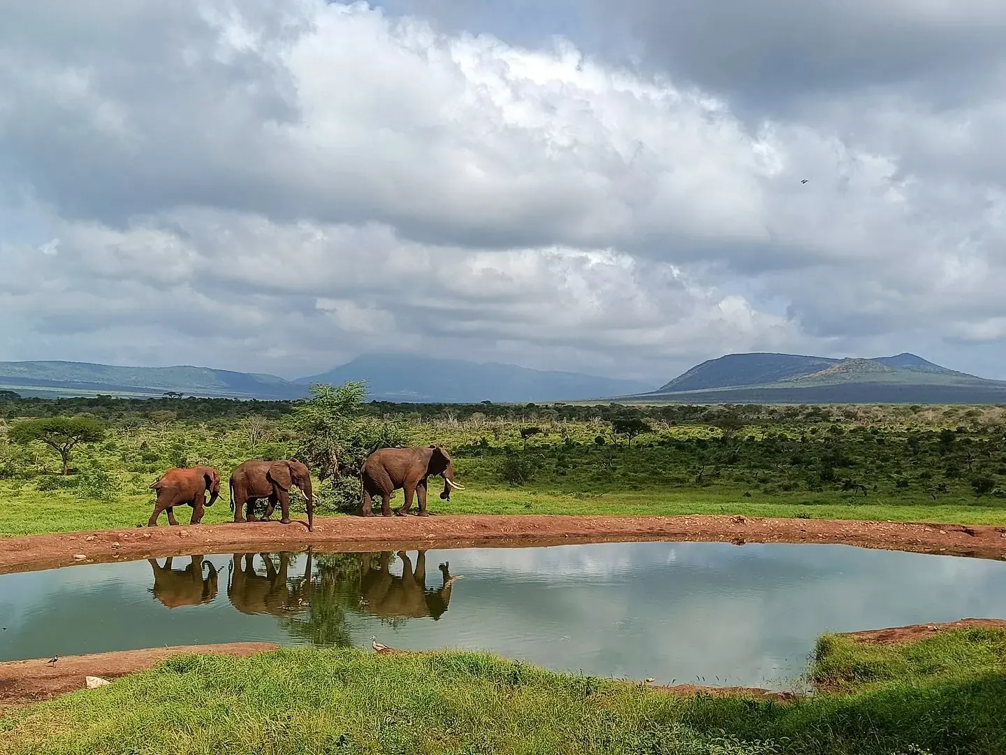 Kenya Yoga & Safari Retreat: Seven Days Rewilding in the Savannah