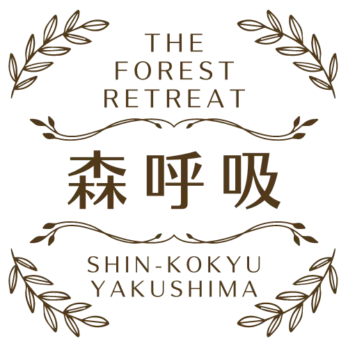 Yakushima Forest Weight-Loss & Yoga Retreat