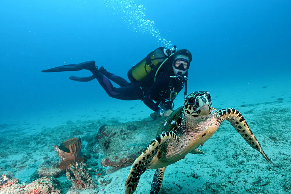 Dive, Do Reef Research and Meditate: 5 Days on Benguerra Island, Mozambique