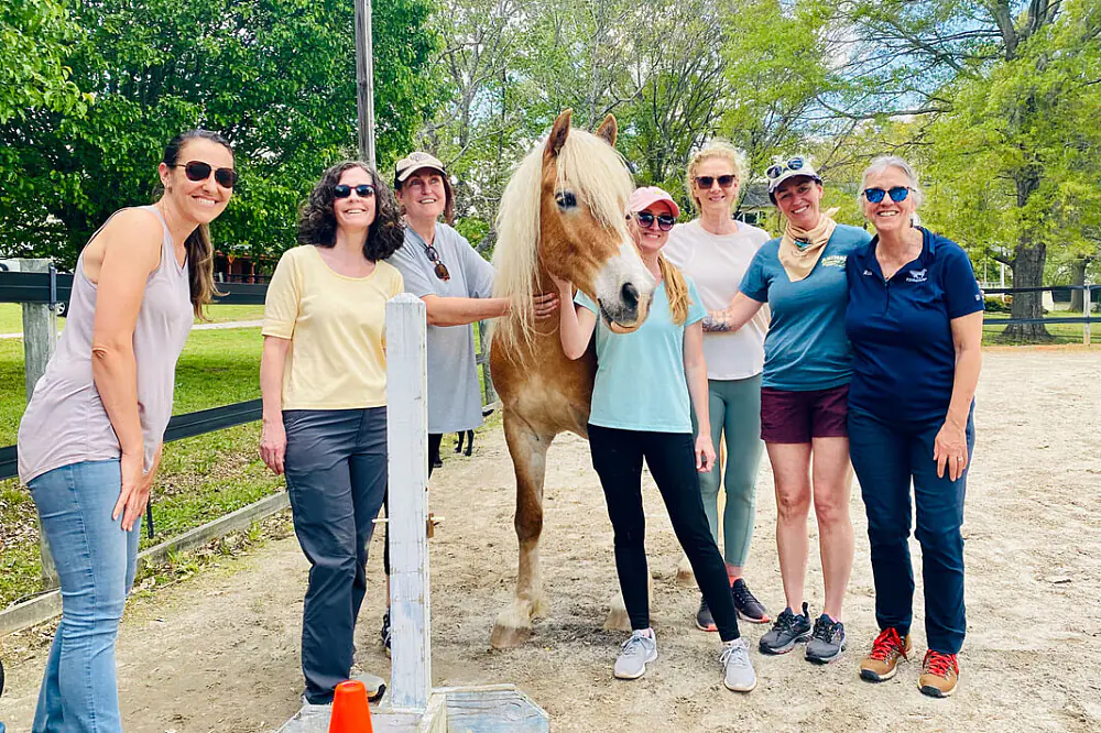 Women's Yoga, Horse Wisdom & Somatic Retreat in the Colorado Rockies