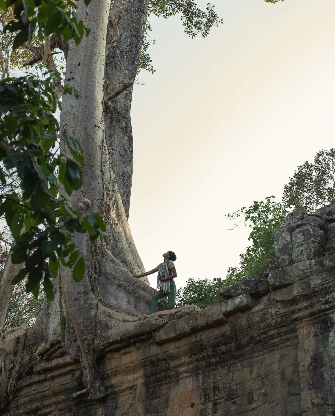 5-Day Cultural and Wellness Retreat in Cambodia – Yoga, Temple Explorations & Ayurvedic Healing