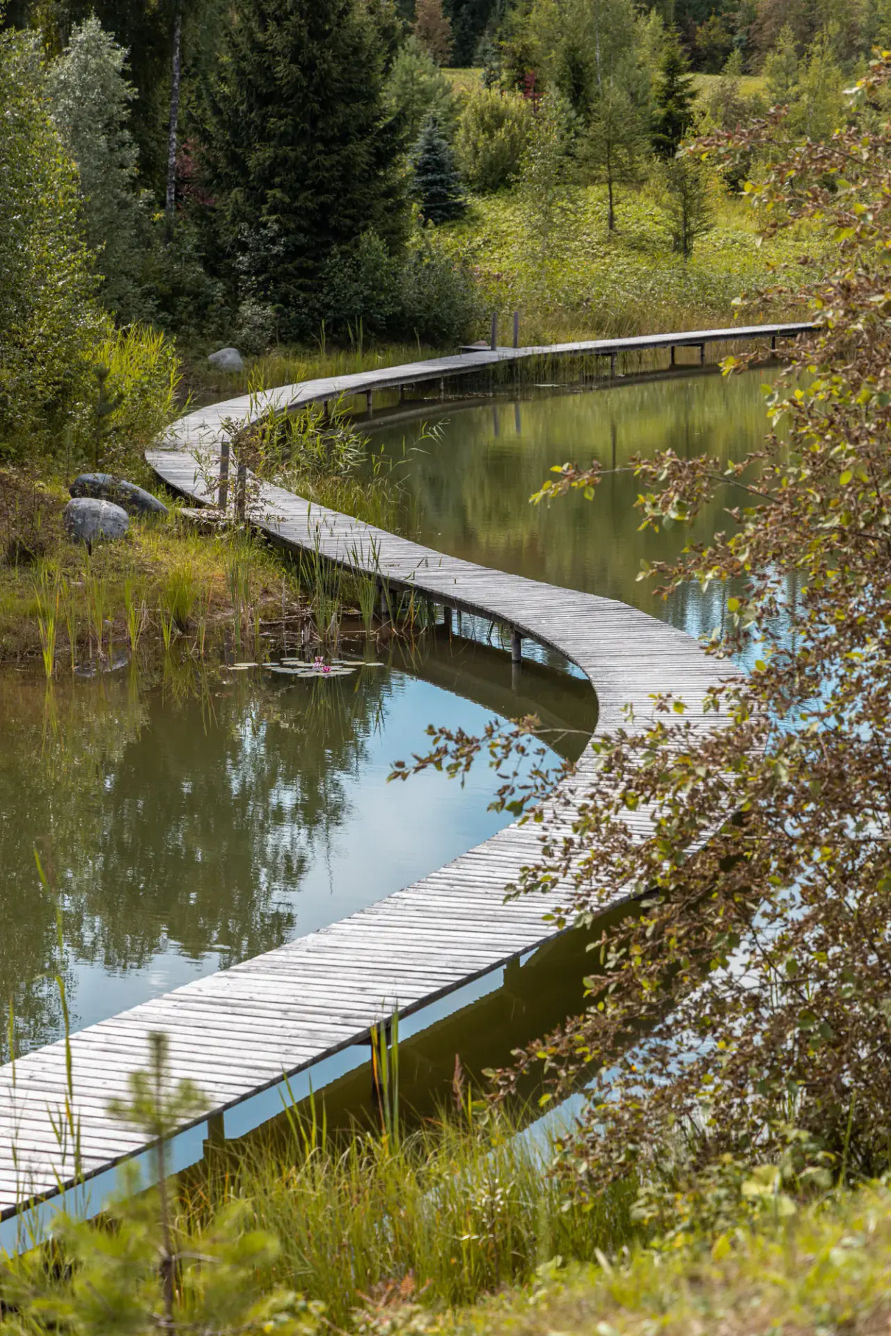Narbuli: A Private Wellness Retreat House in Latvia's Forests