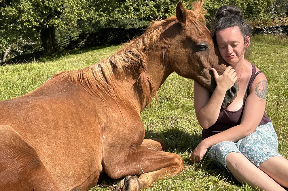 Silent Equine Therapy Retreat in Cumbria, UK
