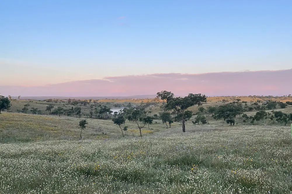 6-Day Yoga and Meditation Retreat in Alentejo, Portugal