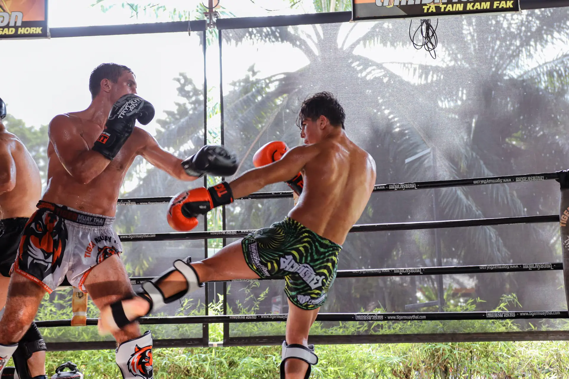 Martial Arts Training Camp in Bali: Muay Thai, MMA & Fitness Weeks