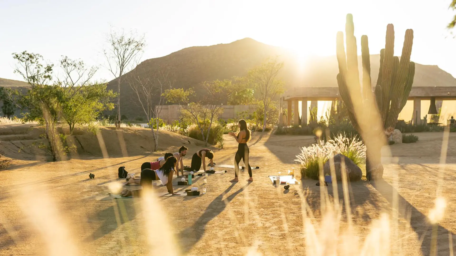 Baja Desert Wellness Retreat at Paradero Todos Santos