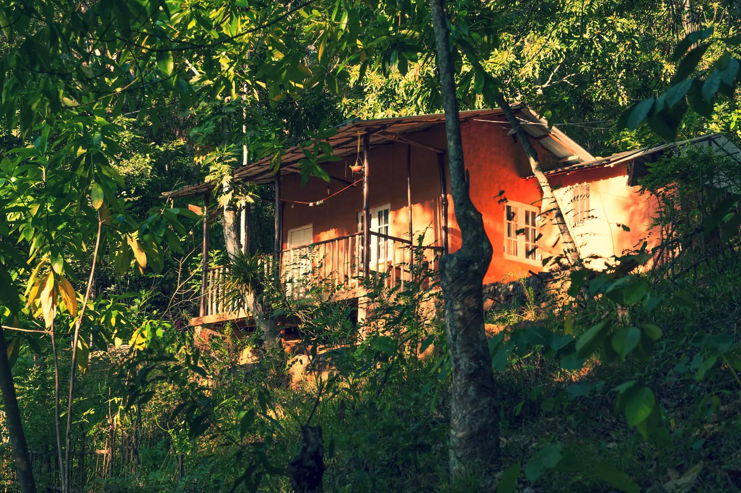 Sri Lanka Jungle Yoga & Reforestation Retreat in Kandy