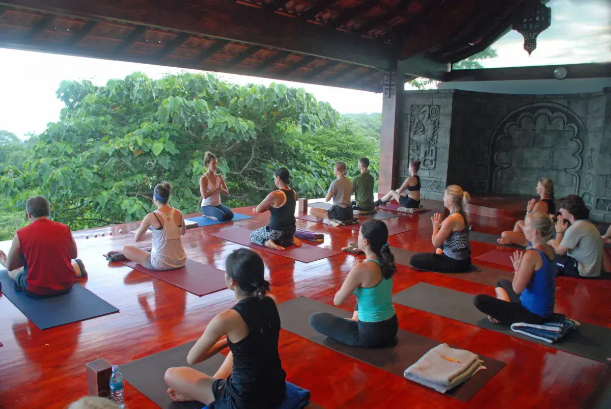 Detox Yoga Retreats: Costa Rica, Belize & Greece Wellness Escapes