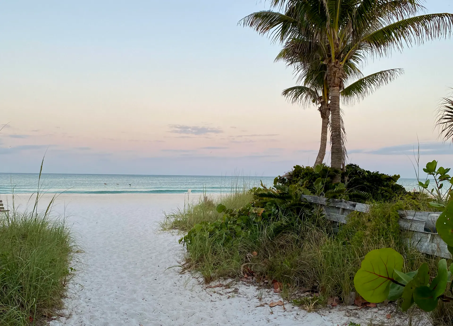 5-Day Women's Beachfront Yoga and Meditation Retreat on Anna Maria Island, Florida