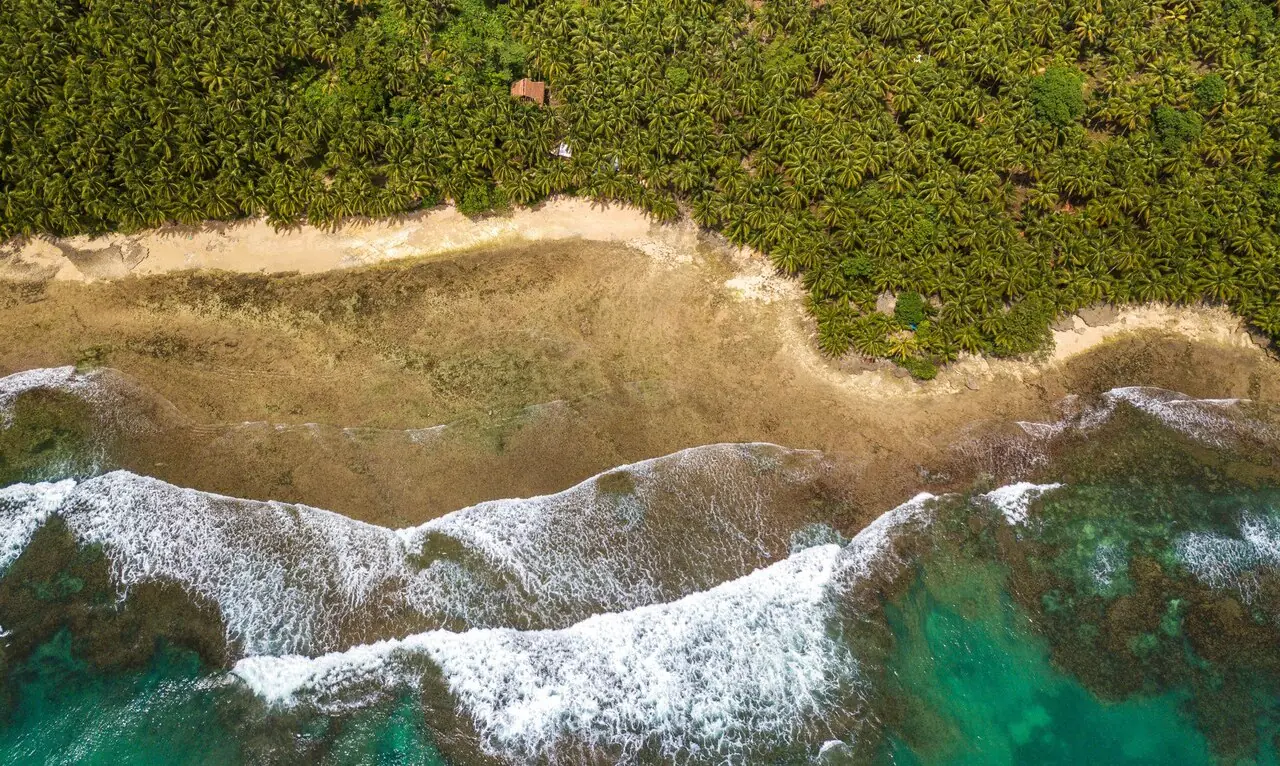 Grappling & Fitness Retreat in Siargao: Train, Surf, and Recover in Paradise