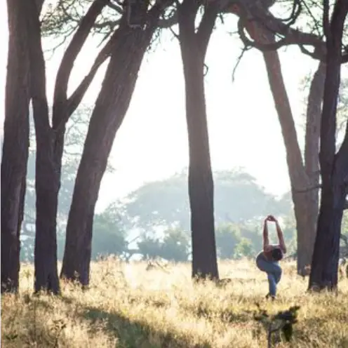 Yoga and Safari Week: Victoria Falls to the Botswana Bush