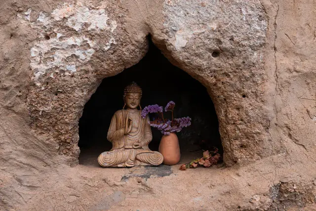 Seven-Day Slow Living and Yoga Retreat on a Working Finca in Tenerife