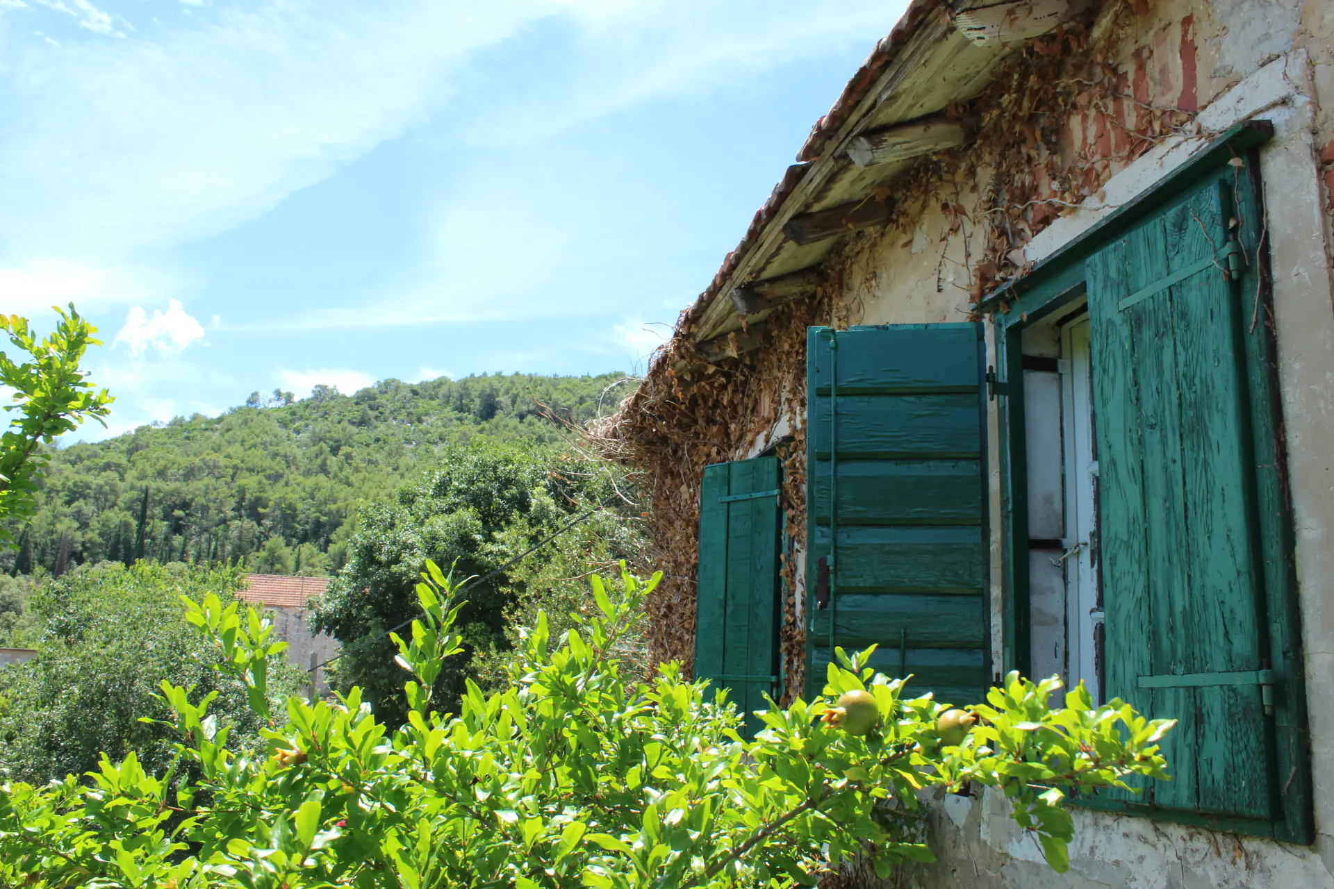 Hvar Island Yoga & Holistic Wellness Retreat in Croatia