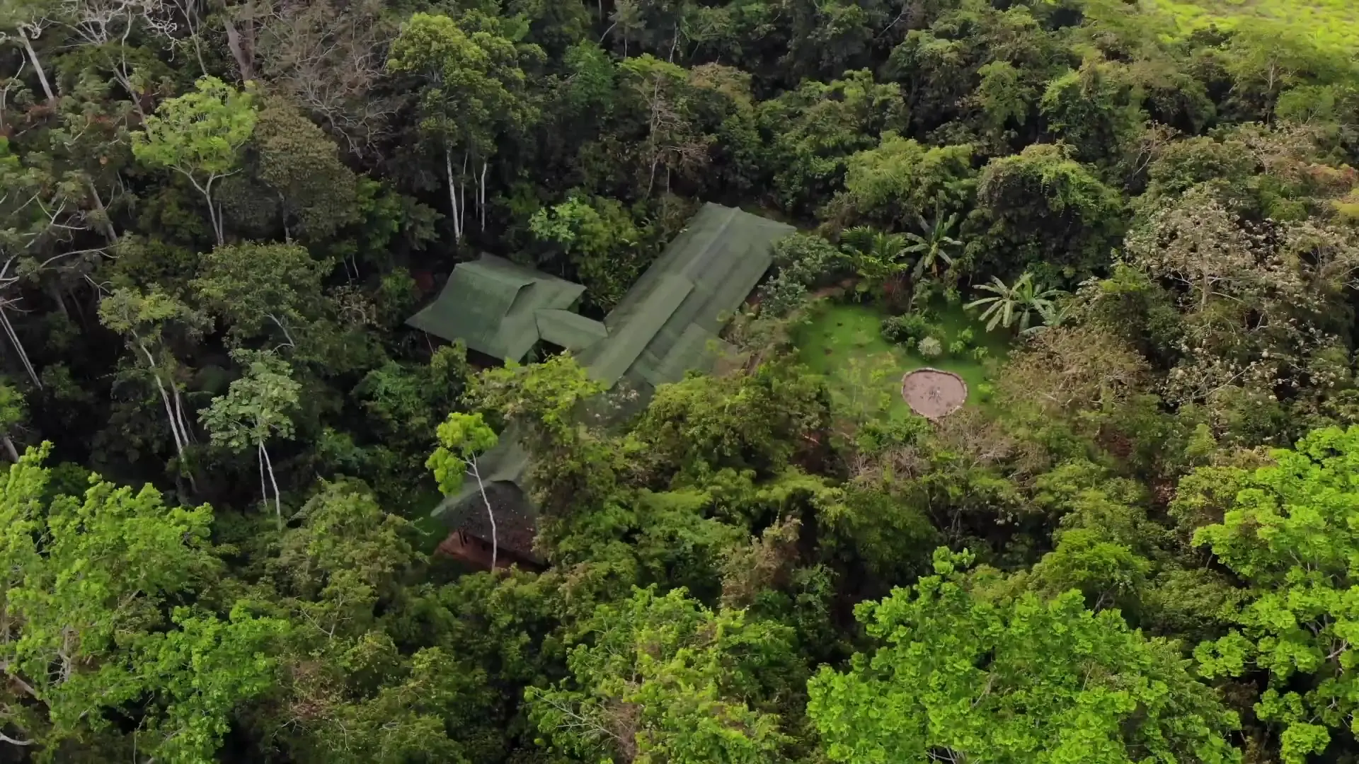 Amazon Rainforest Yoga and Ayurveda Retreat at Casa Amazonas, Peru