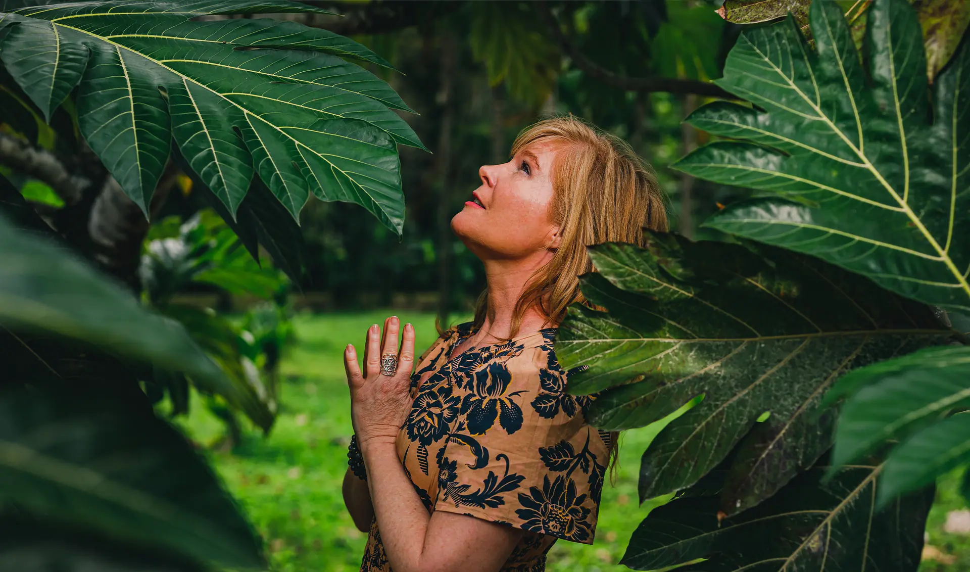 Jungle Yoga and Wellness Retreat at Copal Tree Lodge, Belize