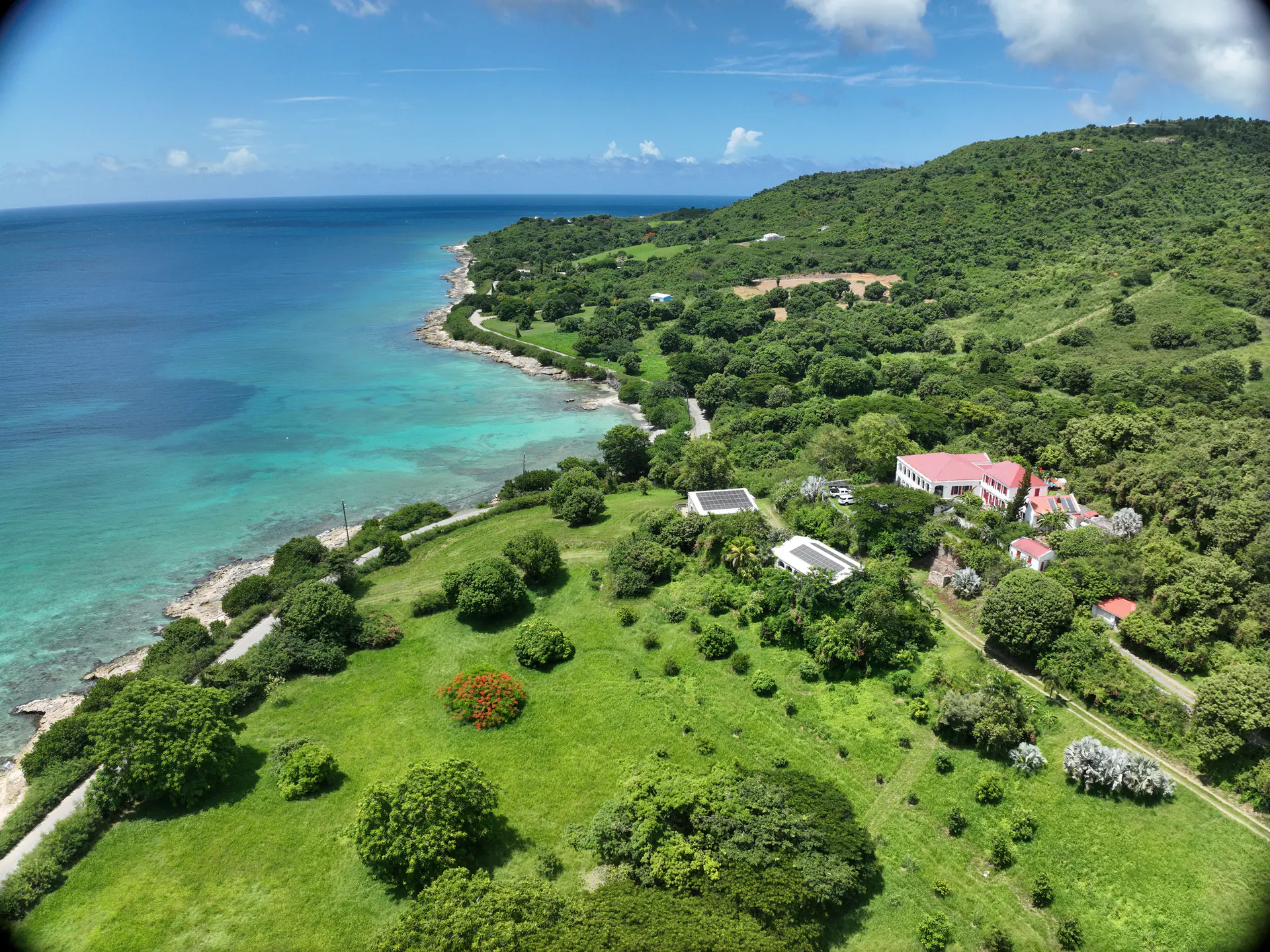Plant-Based Wellness Stay on a 19-Acre Food Forest Estate in St. Croix