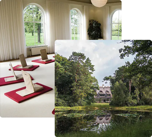 Legal Psilocybin Retreat in the Netherlands: 3-Day Psychedelic Ceremony with Yoga, Breathwork and Integration