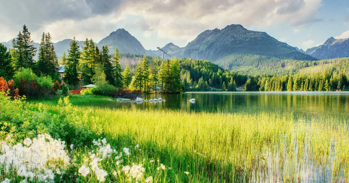 Wellness Holidays in Slovakia