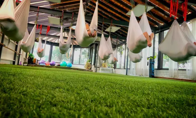 Physio-Led Burnout Recovery Retreat with Wildlife Rescue, Victoria