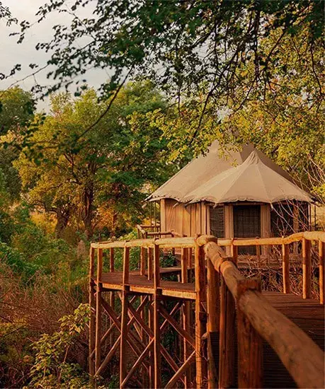 Mindfulness & Self-Compassion Wellness Retreat in Namibia's Bwabwata National Park
