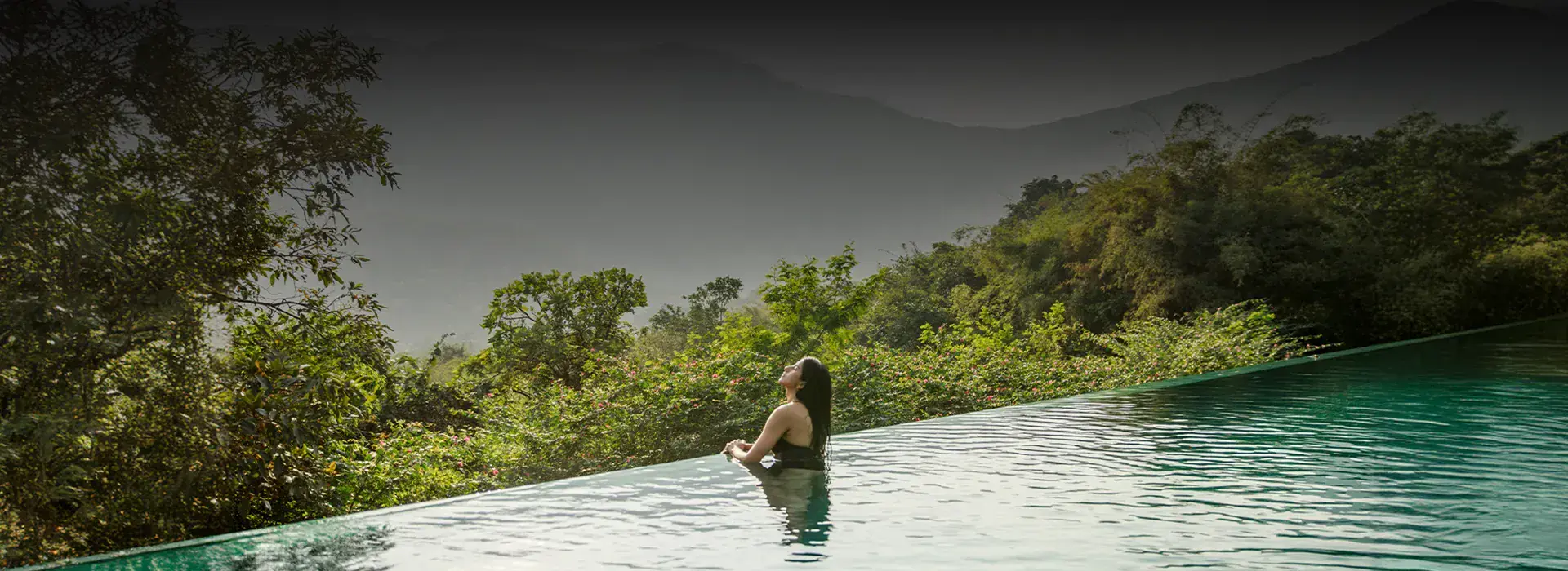 Ayurvedic Detox Reset at a Forest Retreat in India's Western Ghats