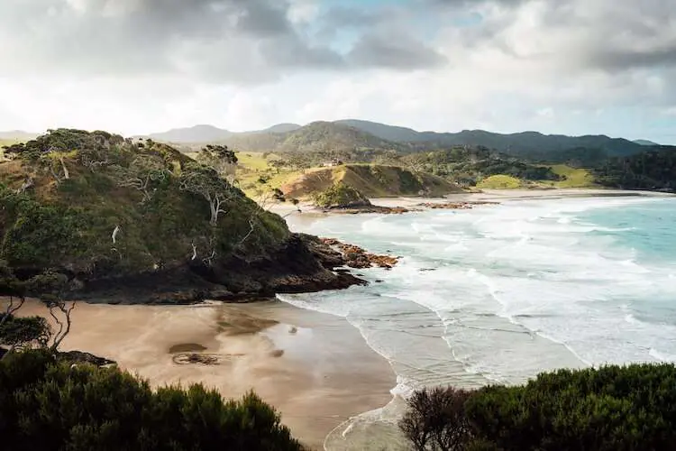 Yoga & Fitness Teacher Training in New Zealand