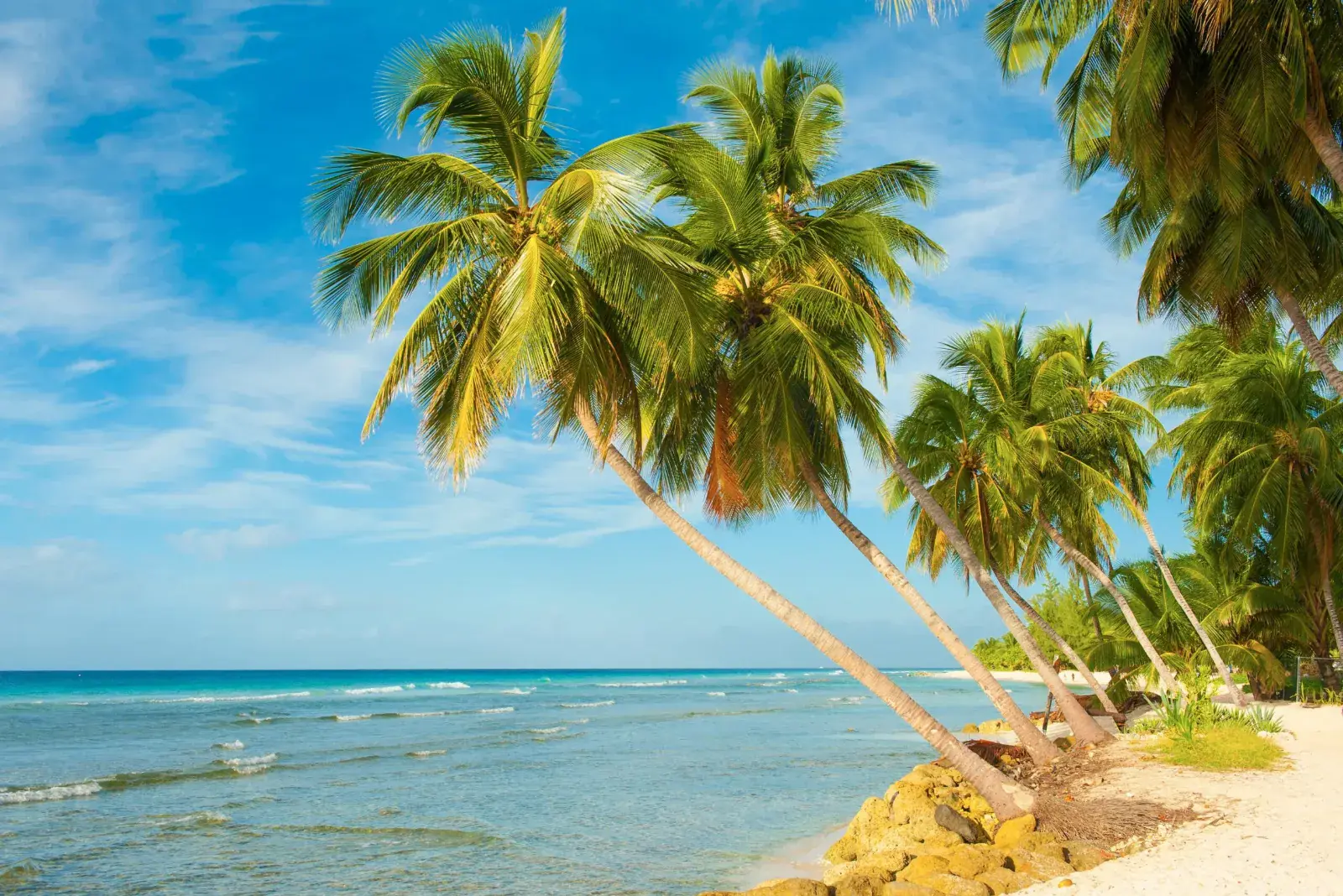 Barbados Women's Surf Camp & Coaching Week