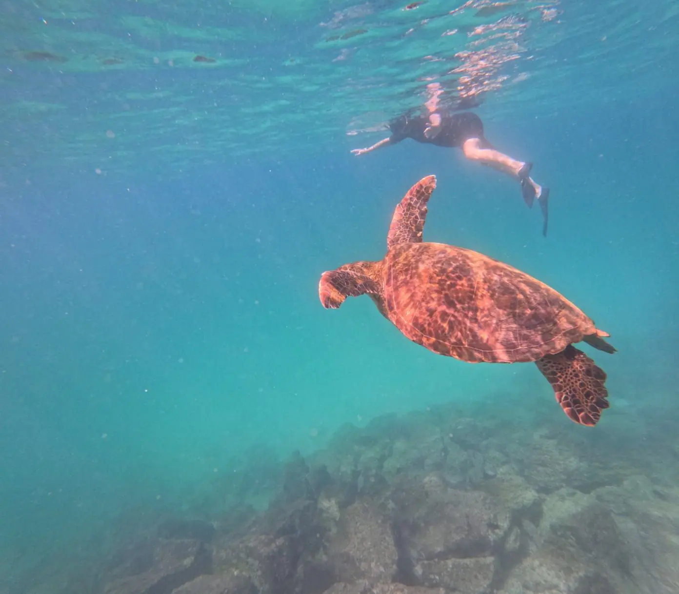 Galapagos Yoga and Wildlife Adventure: 8 Days of Daily Yoga, Snorkelling and Island Exploration