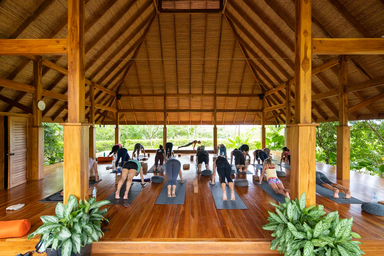 Costa Rica Yoga Week with Tricia Philpott at Blue Spirit, Nosara