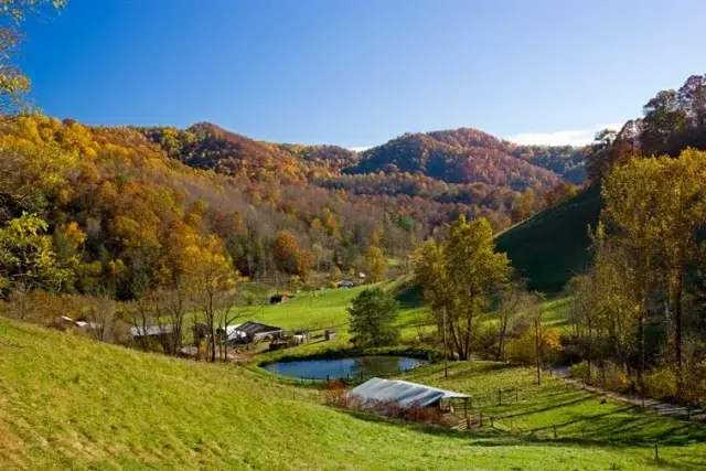 Blue Ridge Farm Cottages for Leadership Team Retreats