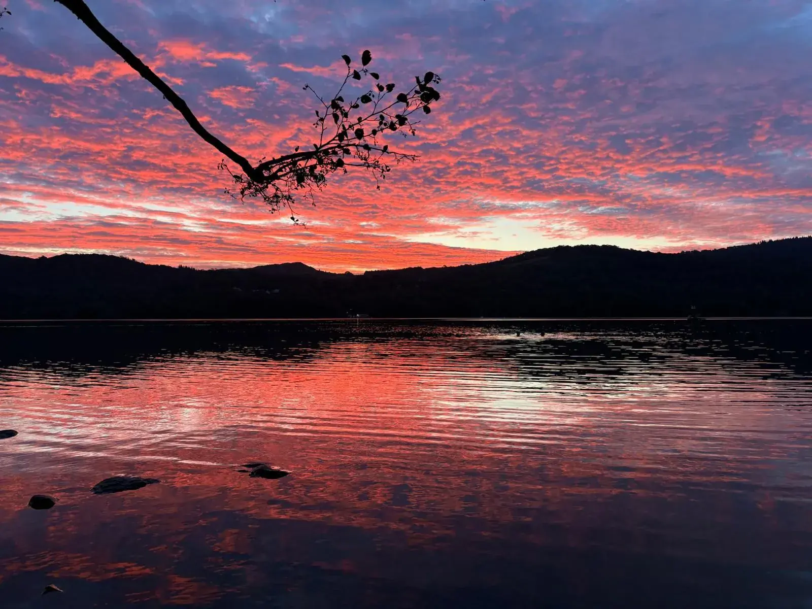 Lakeside Yoga & Cold Water Retreat in the Lake District